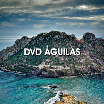 DVD guilas